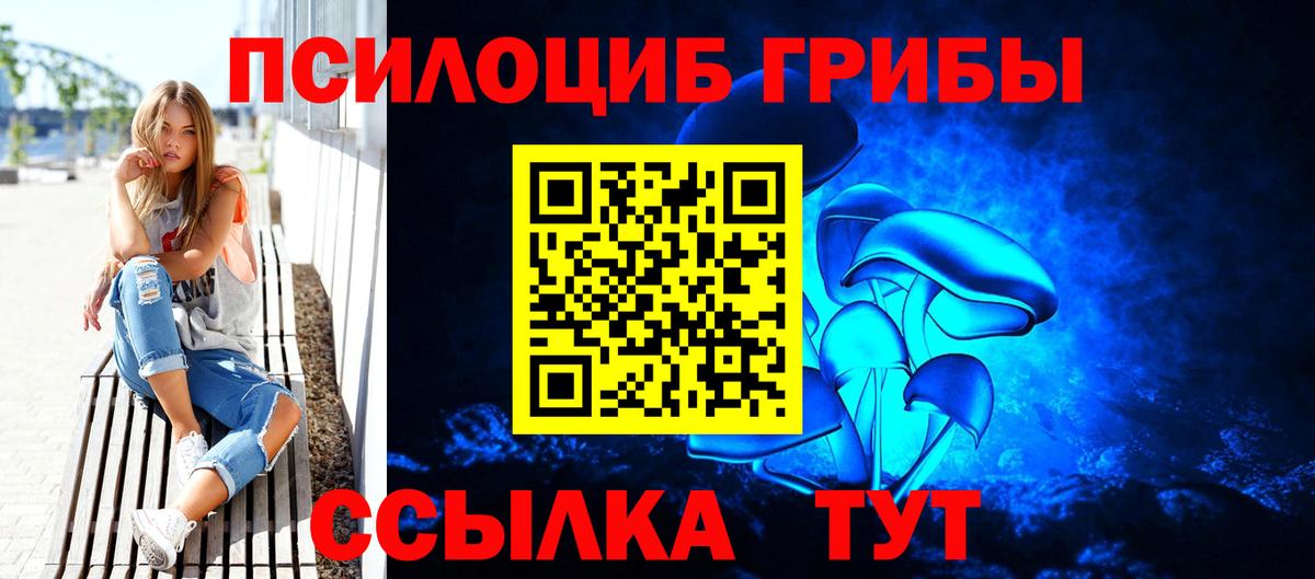 Псилоцибиновые грибы мухоморы Новокубанск